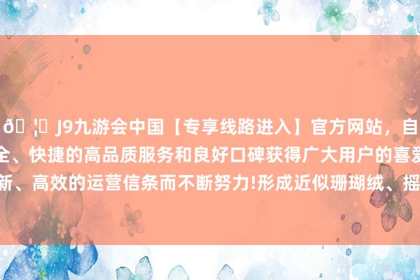 🦄J9九游会中国【专享线路进入】官方网站,自创建以来,以稳定、安全、快捷的高品质服务和良好口碑获得广大用户的喜爱和认可。秉承创新、高效的运营信条而不断努力!形成近似珊瑚绒、摇粒绒、羊羔绒的质感-中国(九游会)官方网站