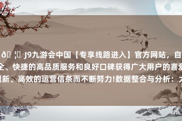 🦄J9九游会中国【专享线路进入】官方网站，自创建以来，以稳定、安全、快捷的高品质服务和良好口碑获得广大用户的喜爱和认可。秉承创新、高效的运营信条而不断努力!数据整合与分析：大略整合收支口数据-中国(九游会)官方网站